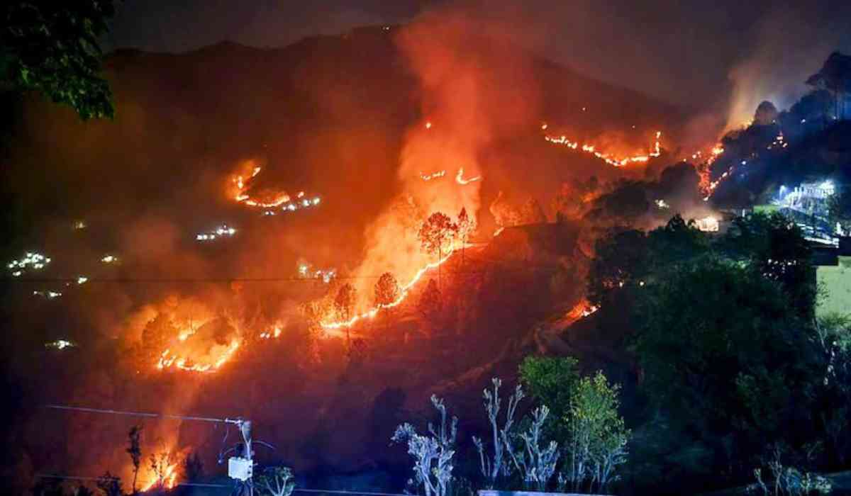 Uttarakhand Massive Forest Fire: उत्तराखंड के जंगलो में लगी भीषण आग में  33.34 हेक्टेयर पेड़ जल गए, आग पर काबू पाने का काम रविवार को दूसरे दिन भी जारी रहा।