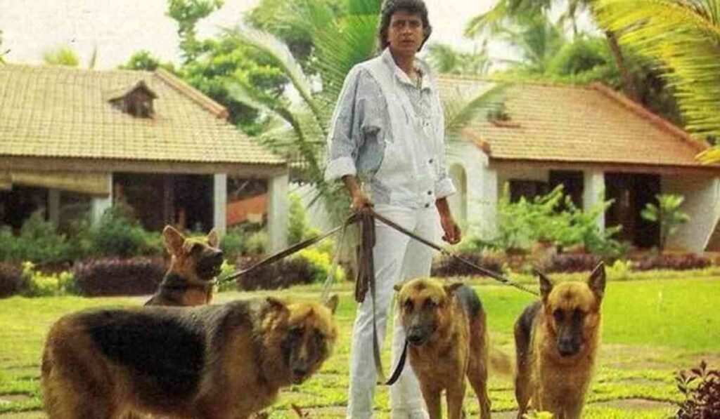 MITHUN CHAKROBATY HAVE 116 DOG: बॉलीवुड अभिनेता मिथुन चक्रवर्ती ने अपनी 45 करोड़ रुपये की संपत्ति का इस्तेमाल कुत्तों के आराम के लिए किया।