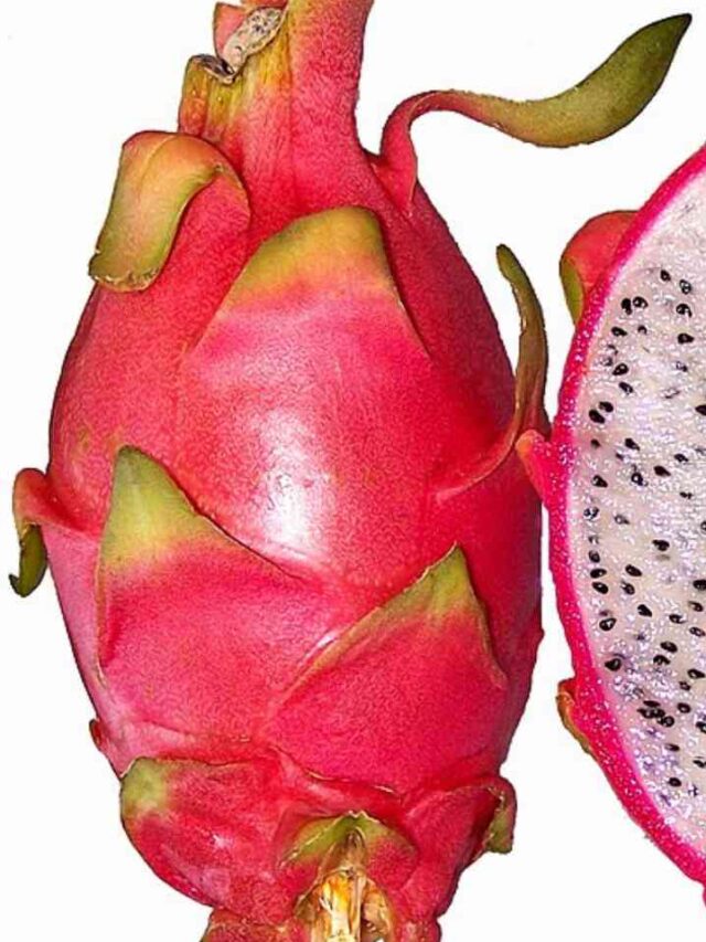 6 AMAZING BENIFIT OF DRAGON FRUIT