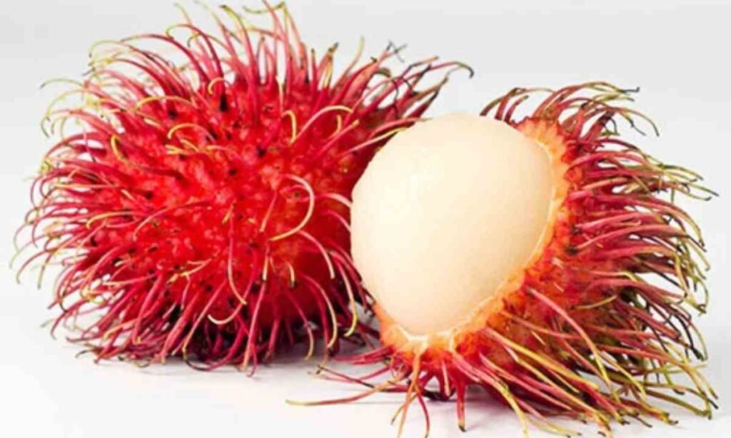 रामबुतान आखिर है क्या, रामबुतान के फायदे सुनोगे तो जाओगे हैरान, शरीर को बना दे स्टील।