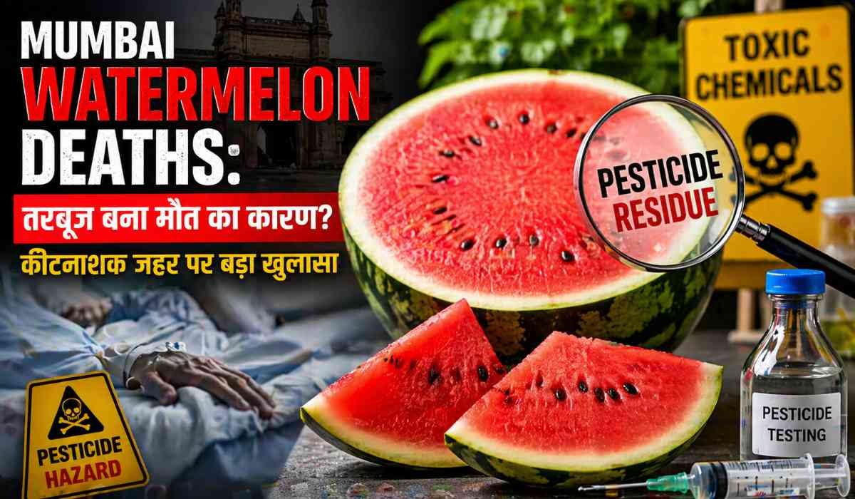 Mumbai Watermelon Deaths: मुंबई तरबूज मौत मामले से जुड़ी तस्वीर, जिसमें तरबूज पर कीटनाशक अवशेष और स्वास्थ्य खतरे को दिखाया गया है