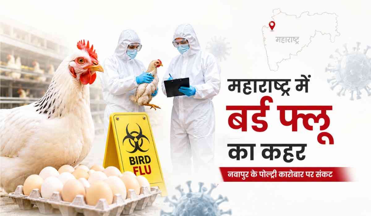 महाराष्ट्र में बर्ड फ्लू संकट को दिखाती पोल्ट्री फार्म, मुर्गियां और सुरक्षा सूट पहने स्वास्थ्यकर्मियों की तस्वीर।