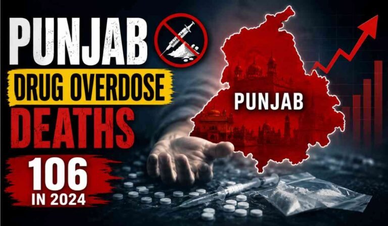 Punjab Drug Overdose Deaths पर आधारित इंफोग्राफिक, जिसमें NCRB 2024 रिपोर्ट में बढ़ती नशे से मौतों के आंकड़े दिखाए गए हैं।